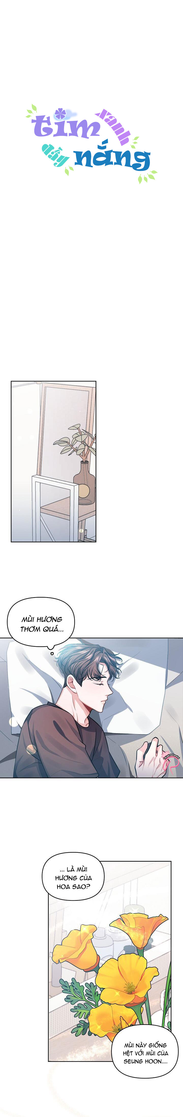 Tim Xanh Đầy Nắng - Chapter 2