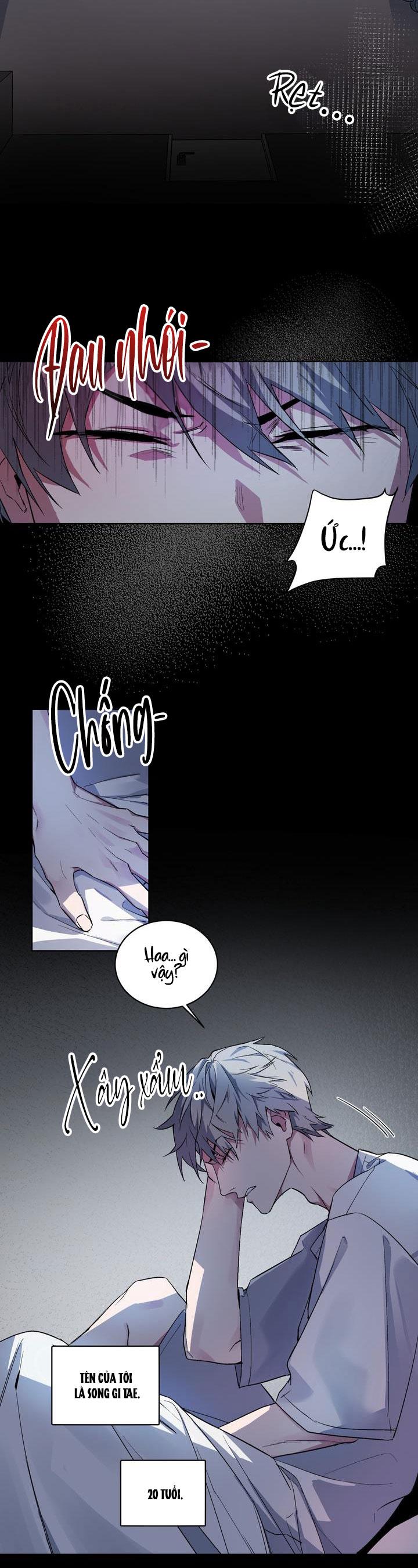 Room Without Windows - Chapter 1