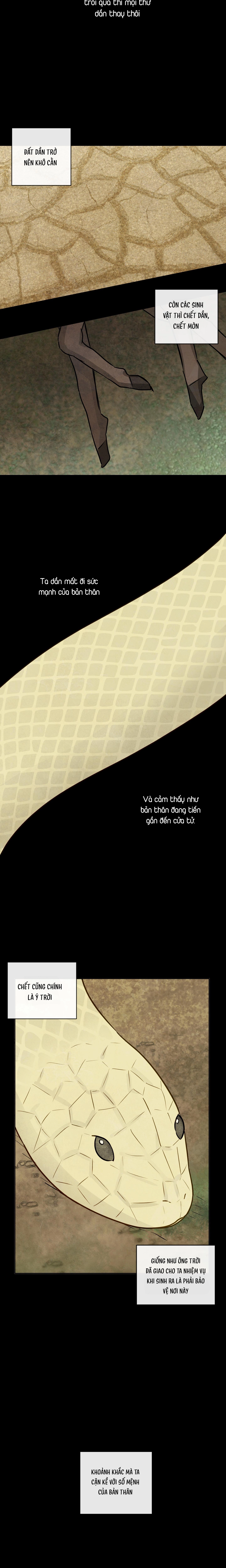 Sự quyến rũ của thần rắnn - Chapter 2