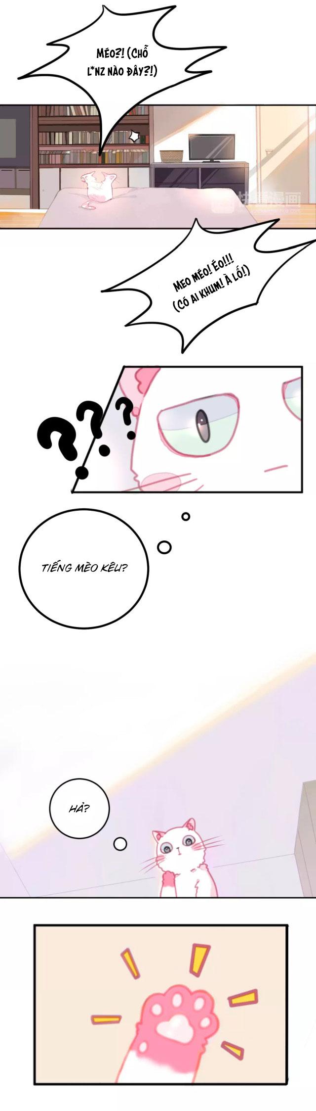 Xã Hội Mồn Lèo - Chapter 1
