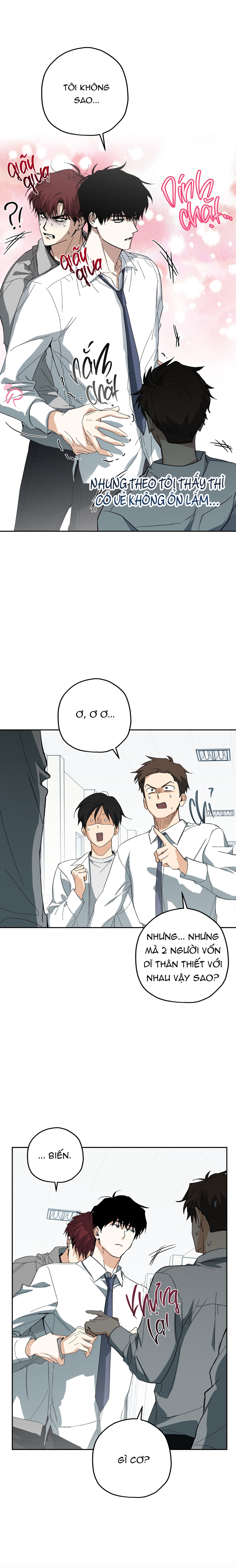 Hhsb - Chapter 2
