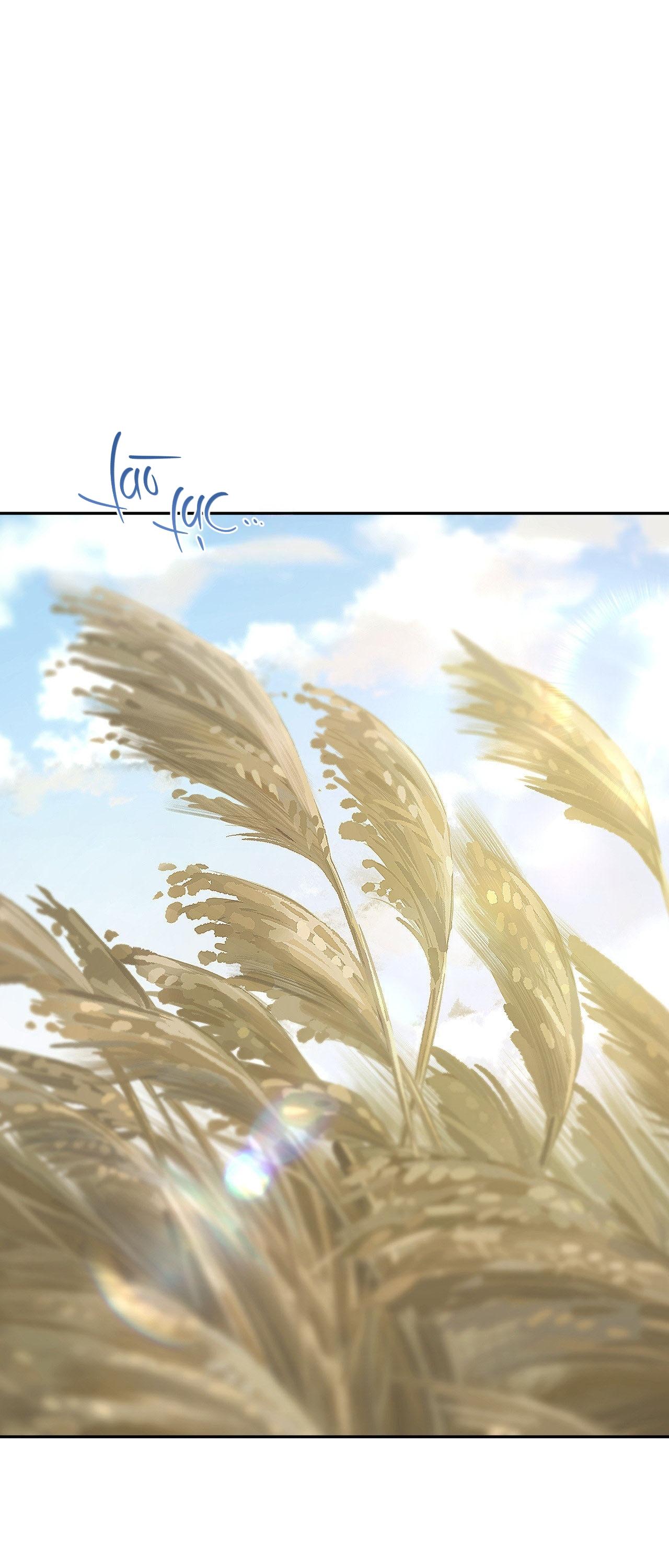 SA NGÃ - Chapter 1