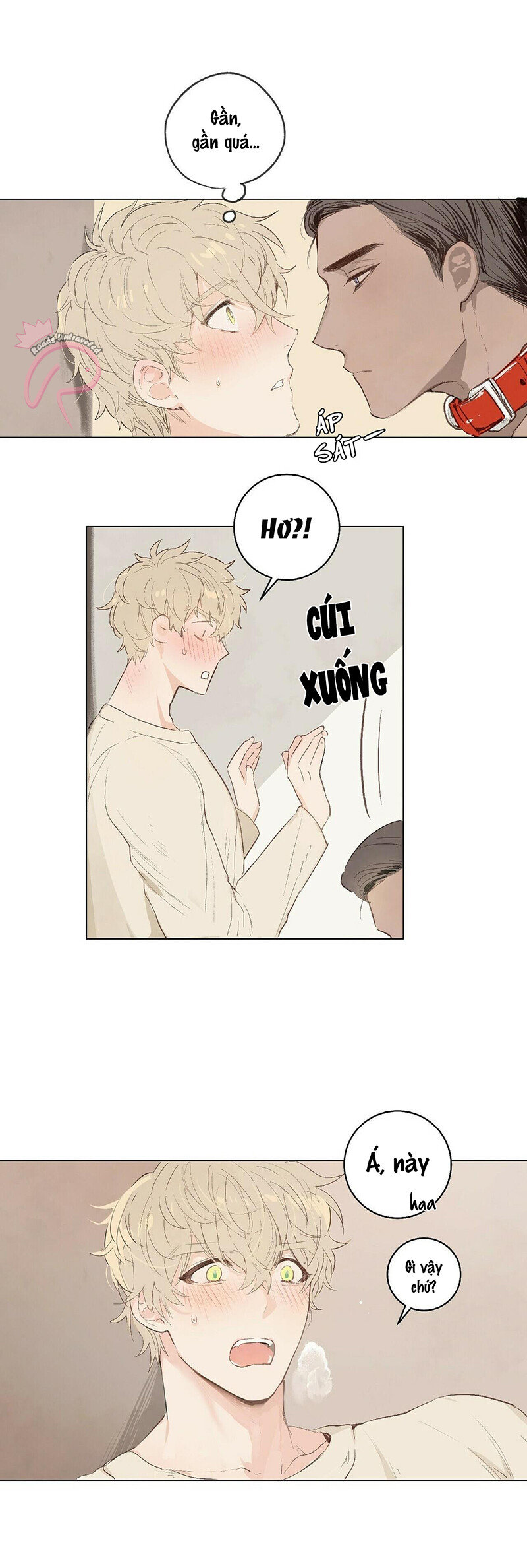 Không Được Đưa Dây Xích Cho Anh Ấy - Chapter 1