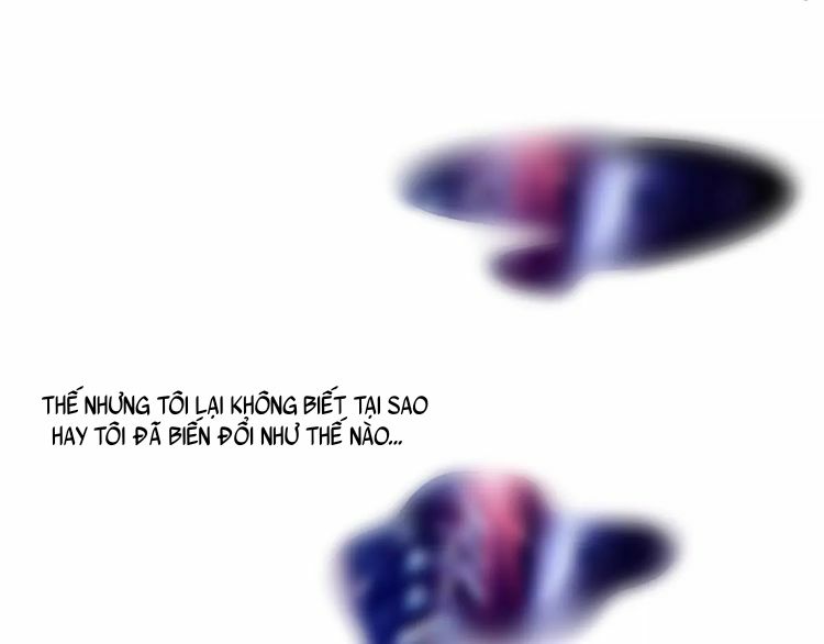 Thế giới của một chú mèo - Chapter 1