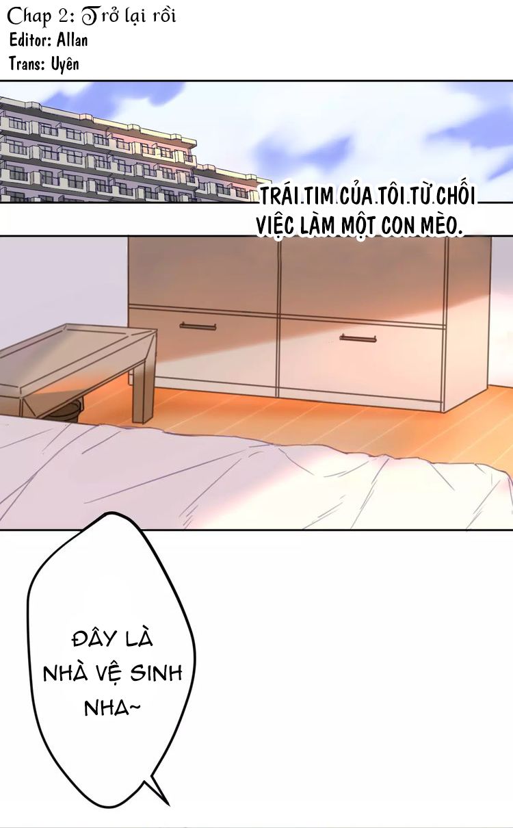 Thế giới của một chú mèo - Chapter 2