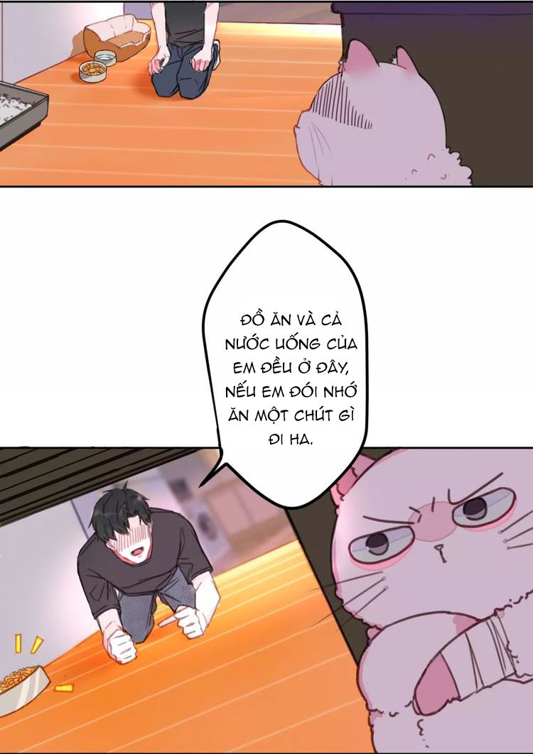 Thế giới của một chú mèo - Chapter 2