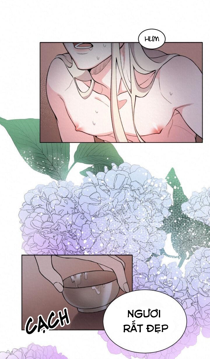 Truyền Thuyết Bạch Hồ - Chapter 1