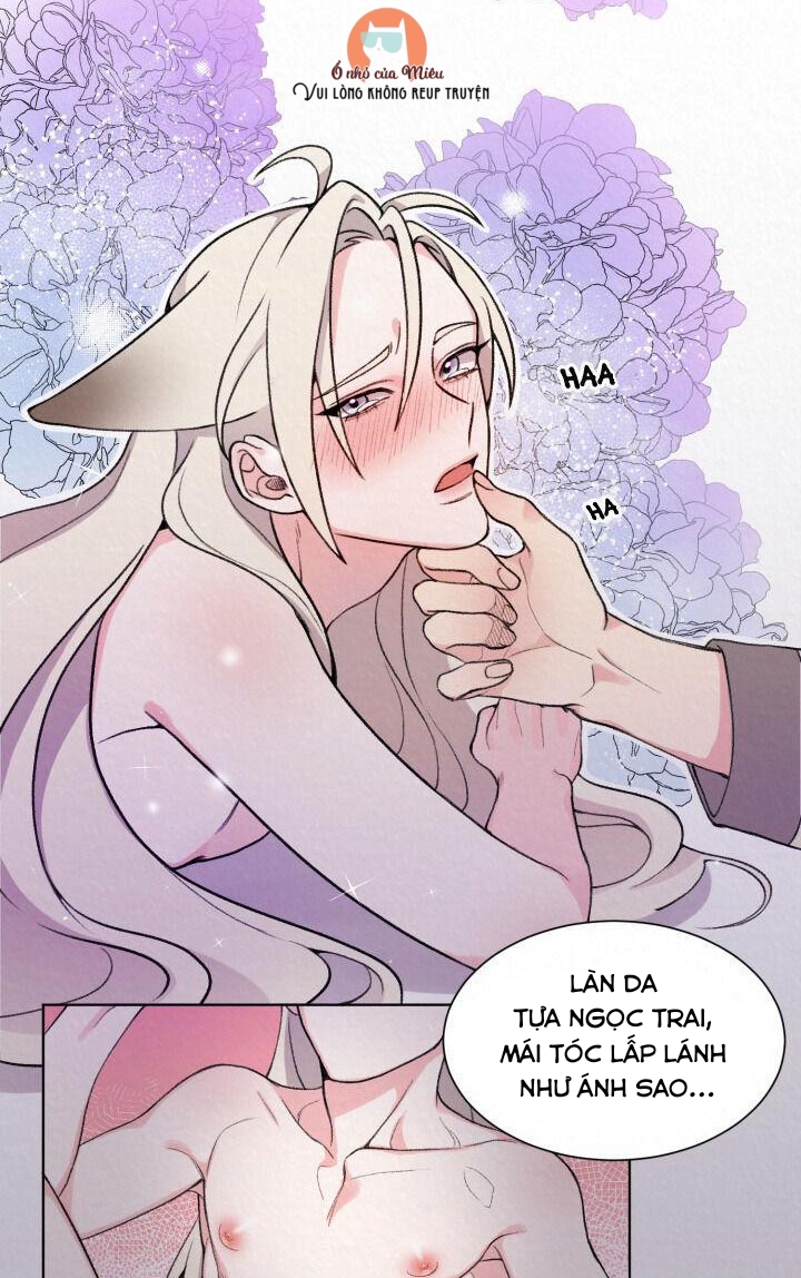 Truyền Thuyết Bạch Hồ - Chapter 1