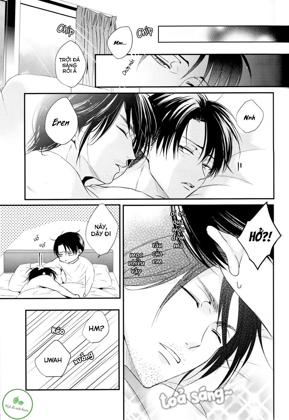 A clumsy adult and a nasty boyfriend-AOT - Chapter 1