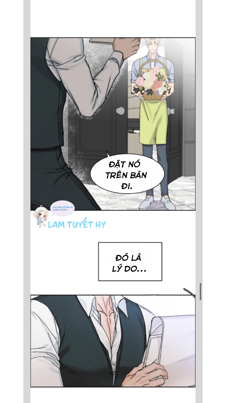 With Your Tail, Yes - Chapter 1