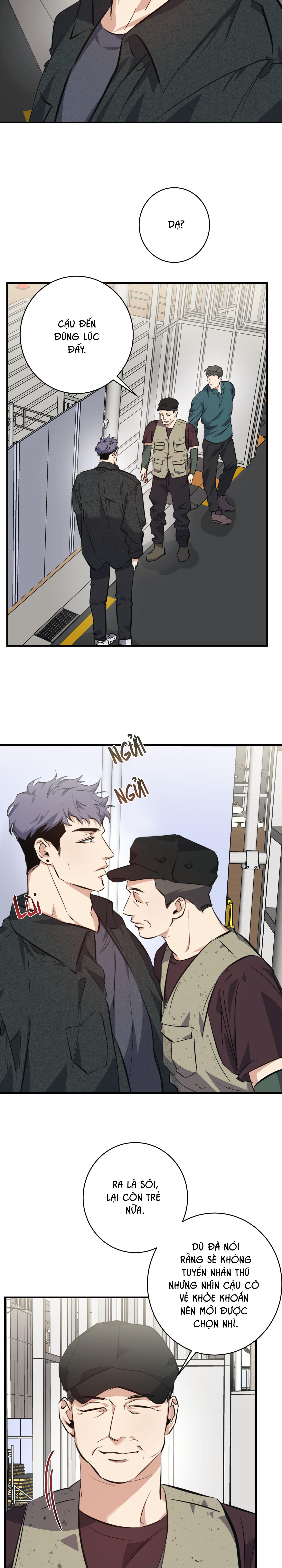 An Toàn Là Trên Hết - Chapter 1
