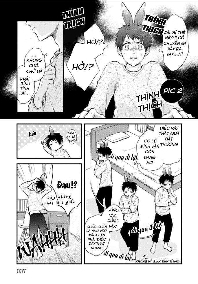 Aitai Jou to Usagi no Yamai - Chapter 2