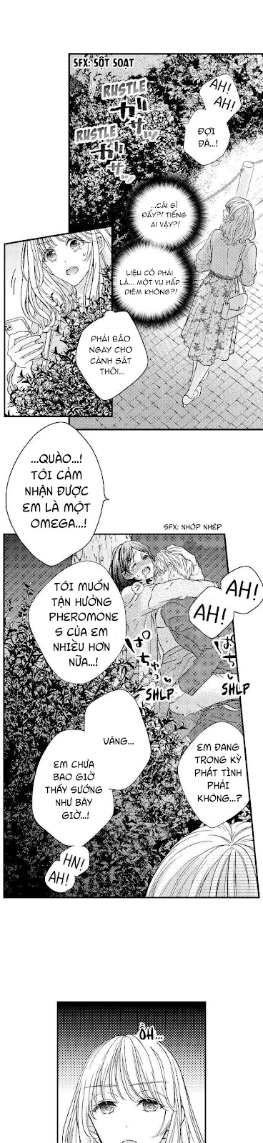 Khoái Cảm Định Mệnh: Alpha Và Omega - Chapter 1