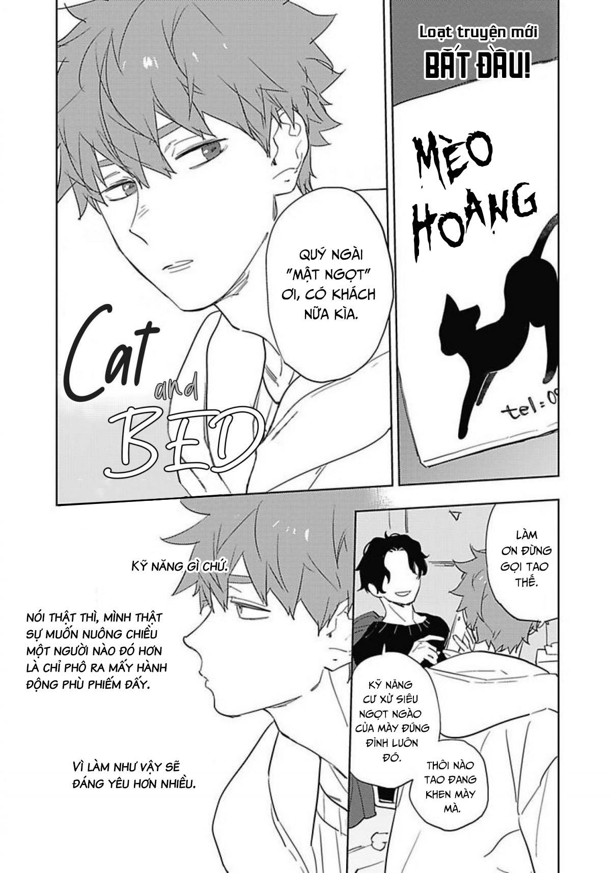 Neko to Beddo - Chapter 1