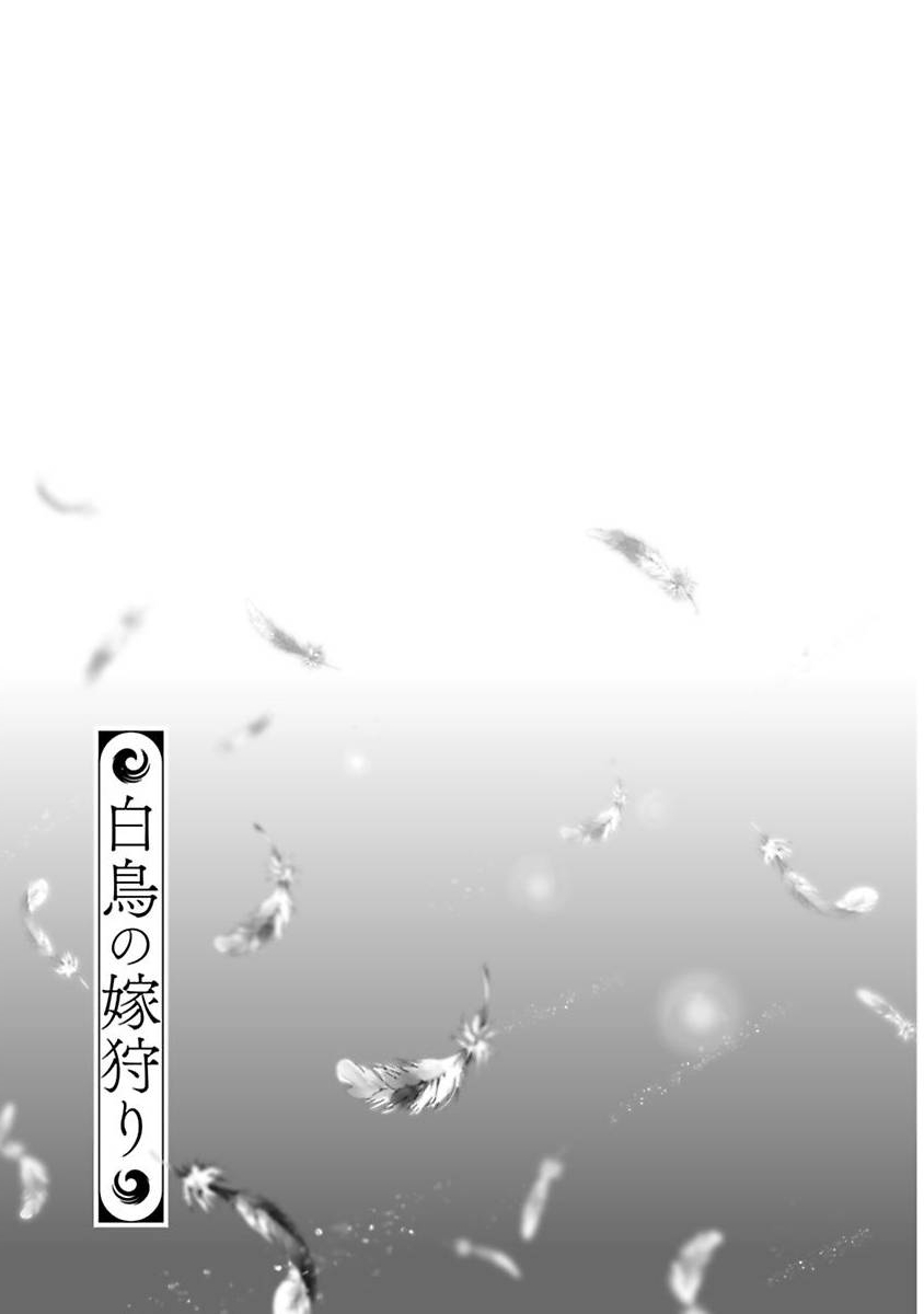 Cuộc Săn Thê Của Thiên Nga - Chapter 2