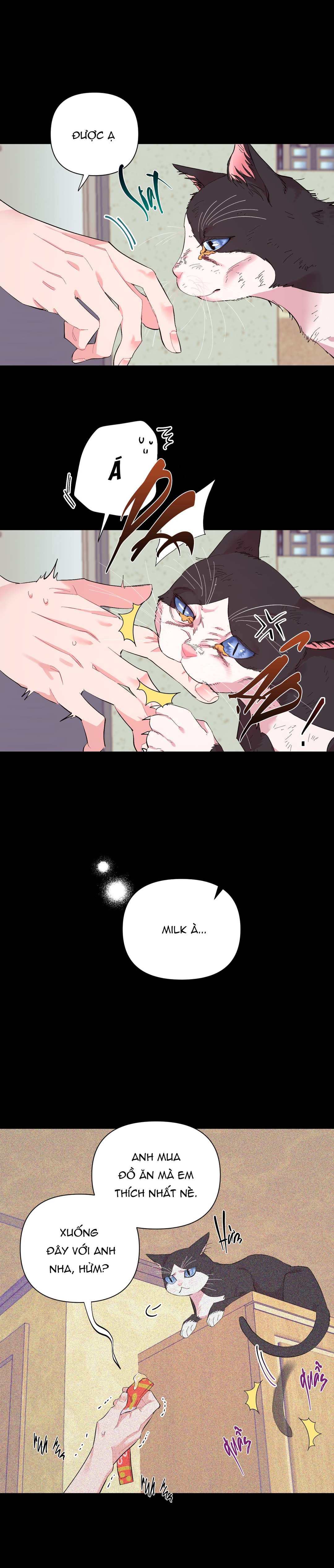 Socola Sữa Lắc - Chapter 2