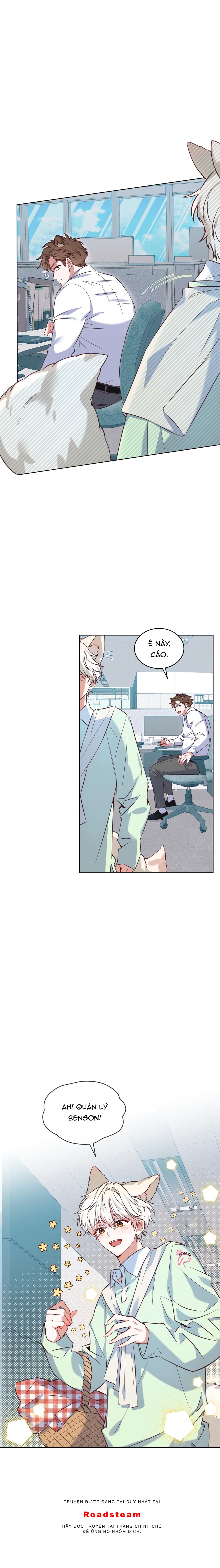 Thức Uống Tình Yêu Của Flynn - Chapter 1
