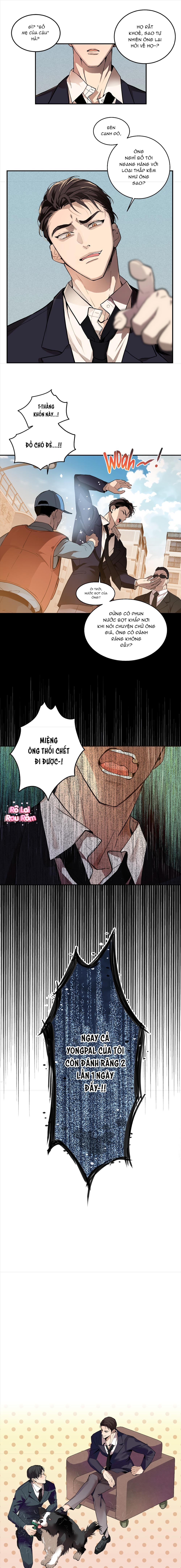 TÌNH YÊU LÔNG XÙ - Chapter 1