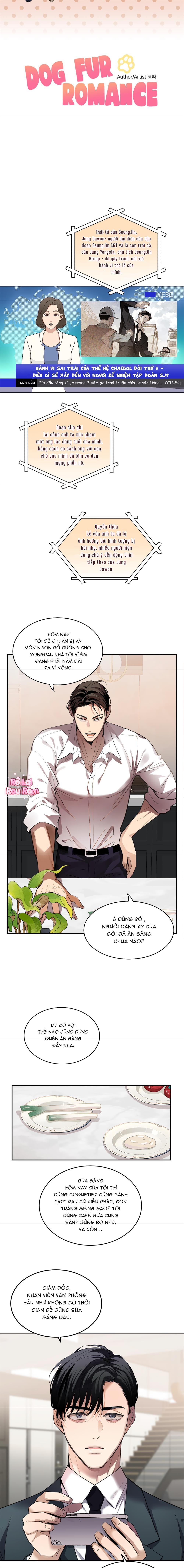 TÌNH YÊU LÔNG XÙ - Chapter 1