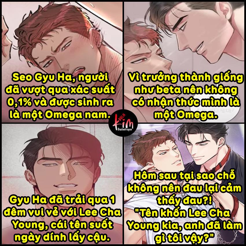 CHÓ VÀ CHIM - Chapter 0
