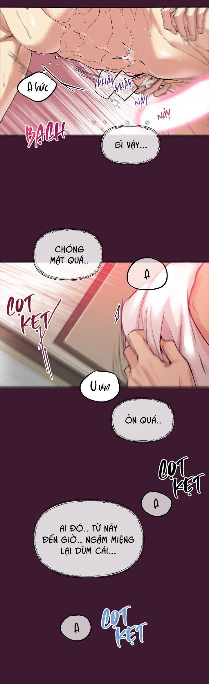 CHÓ VÀ CHIM - Chapter 1