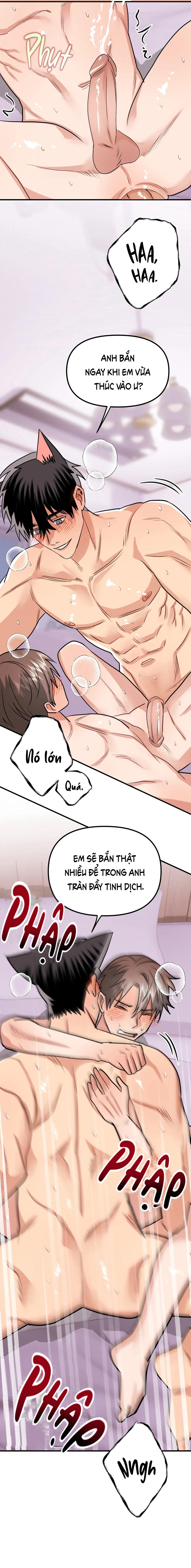 TỔNG HỢP MANHWA BL NGẮN - Chapter 1