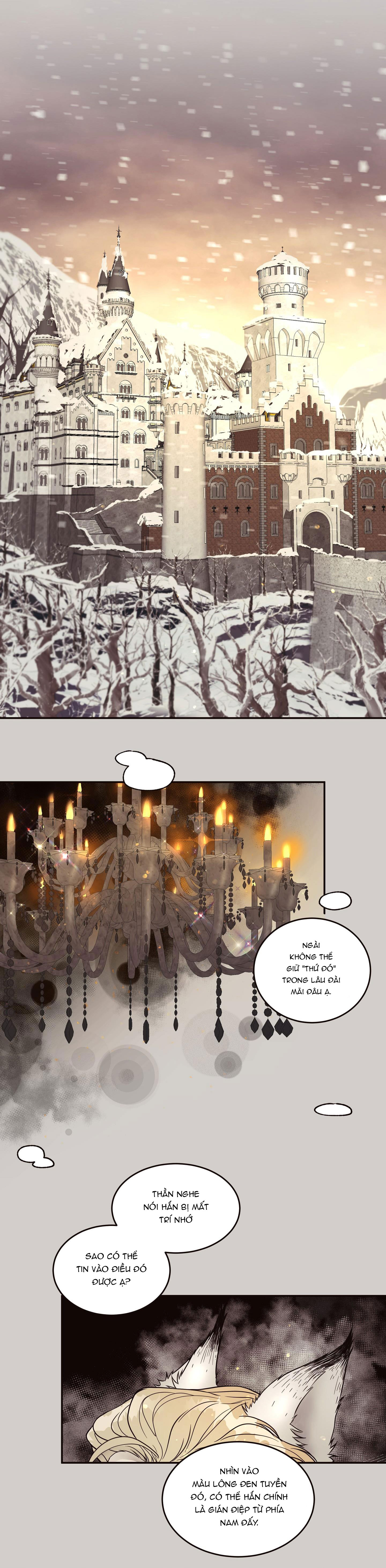 Thỏ Đen Nơi Bắc Cực - Chapter 1