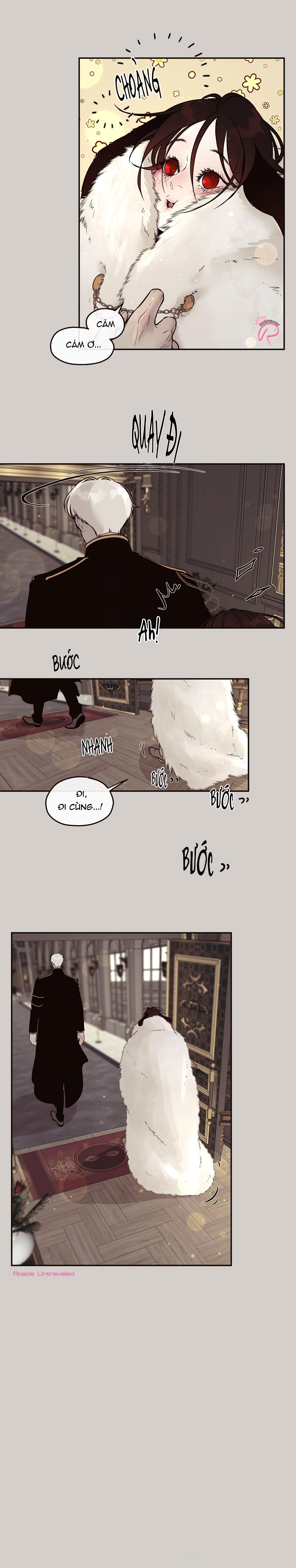 Thỏ Đen Nơi Bắc Cực - Chapter 2