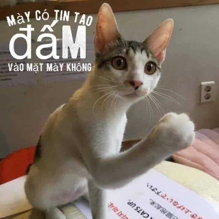 CẠM BẪY CỦA KẺ BIẾN THÁI - Chapter 2