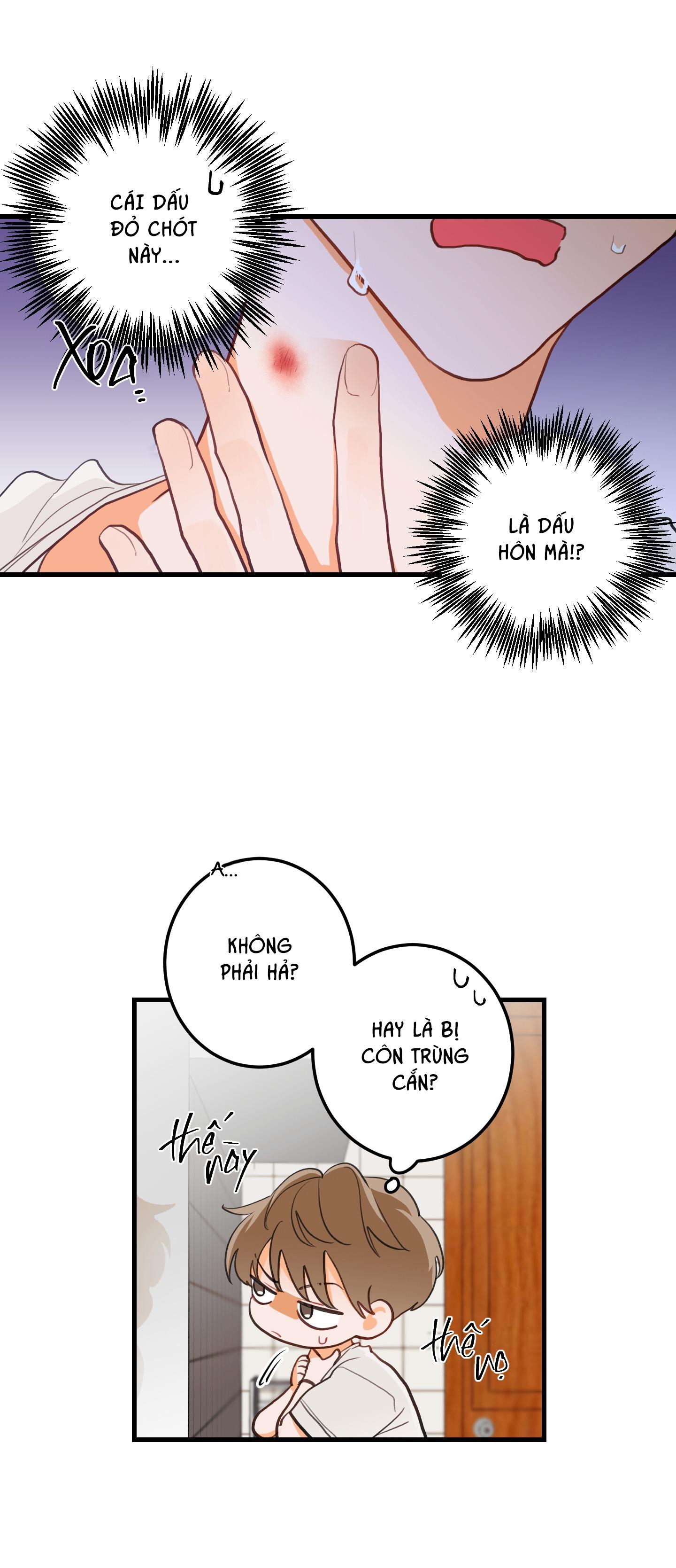 CHUYỆN TÌNH HOA LÊ NỞ - Chapter 2