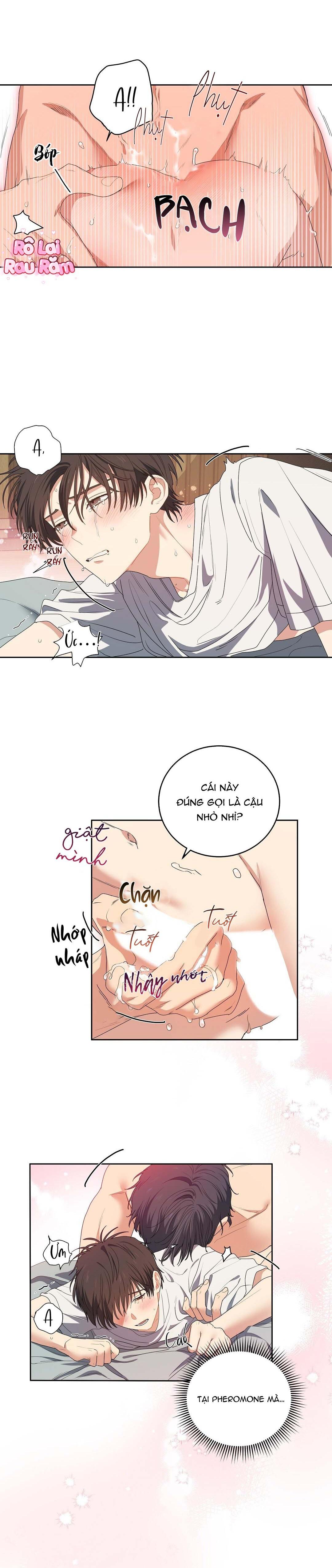 Hoa Anh Đ ào    - Chapter 1