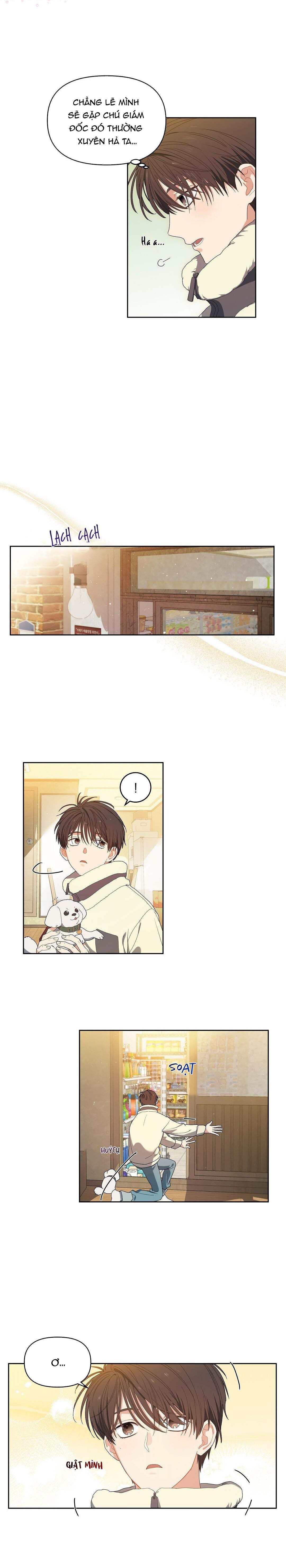 Hoa Anh Đ ào    - Chapter 2