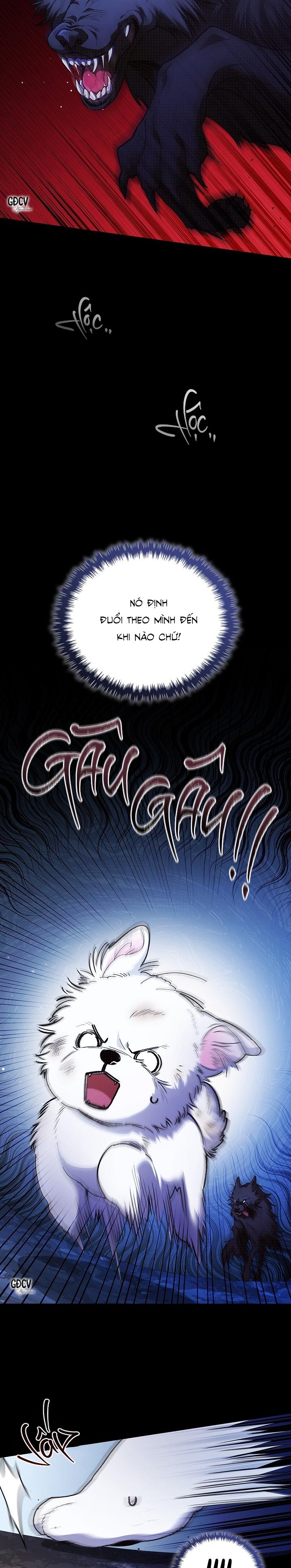 ĐỪNG CHẠM VÀO CÚN CON CỦA TÔI - Chapter 1