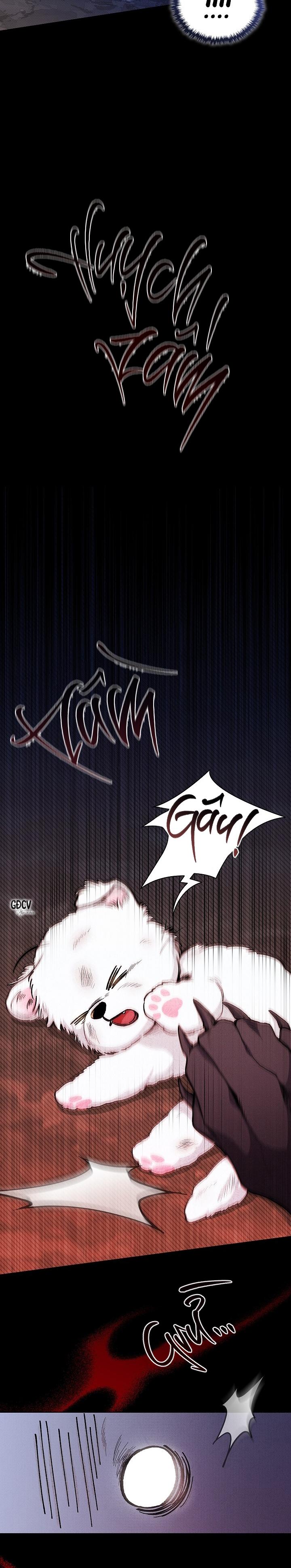 ĐỪNG CHẠM VÀO CÚN CON CỦA TÔI - Chapter 1