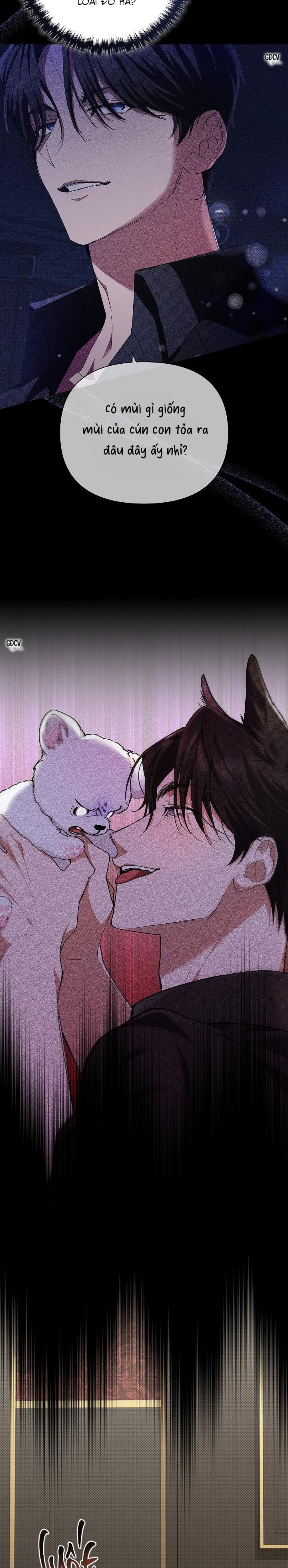 ĐỪNG CHẠM VÀO CÚN CON CỦA TÔI - Chapter 2