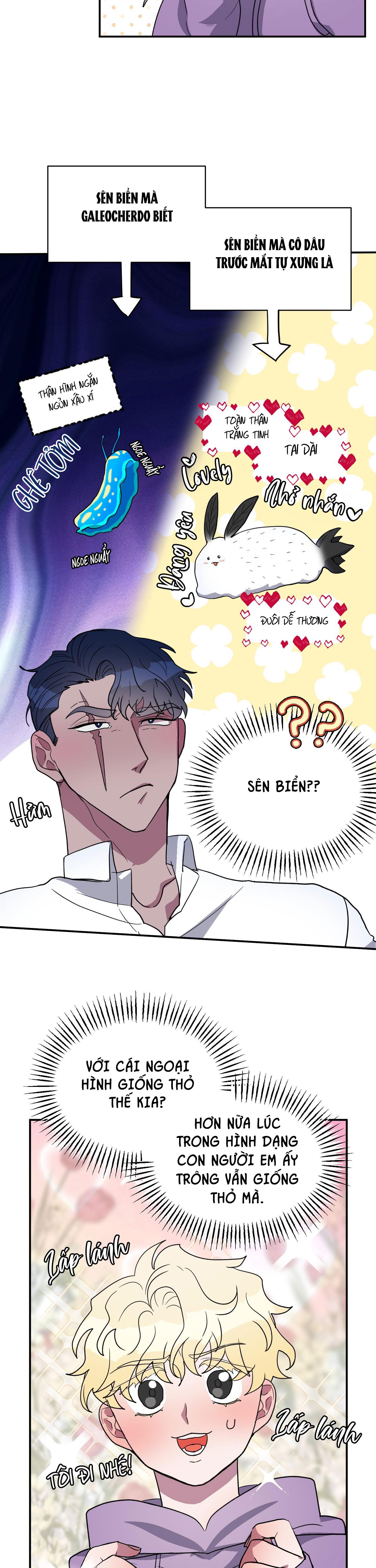 CÁ MẬP VÀ CÔ DÂU THỎ - Chapter 2