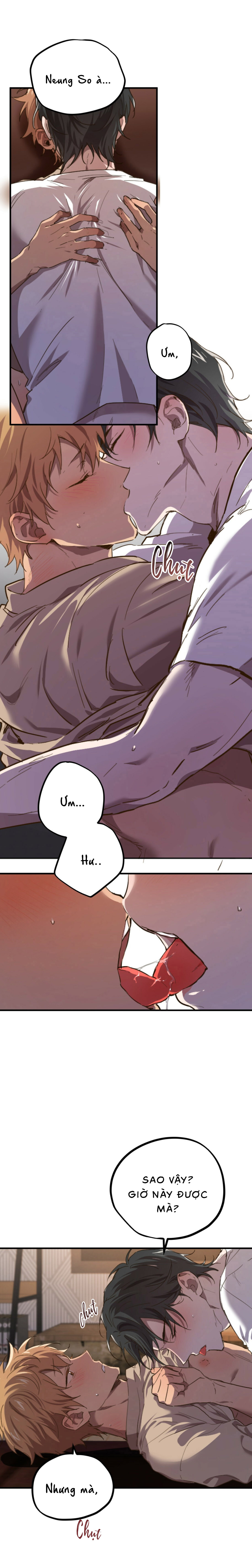 Những Chú Thỏ Của Habibi - Chapter 1