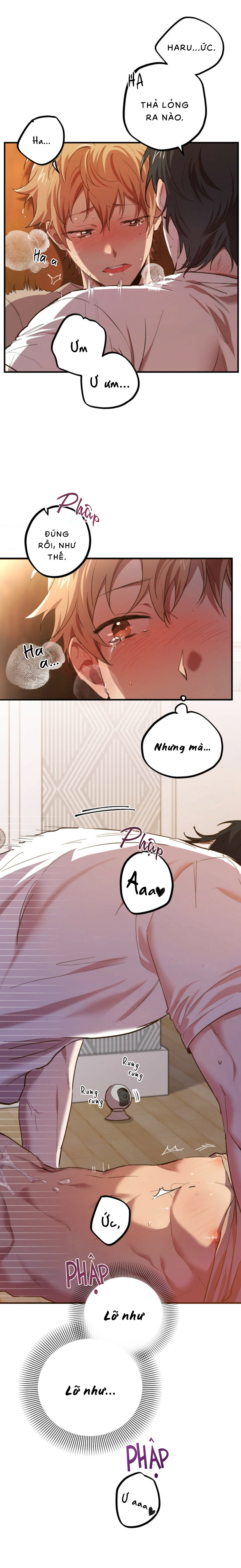 Những Chú Thỏ Của Habibi - Chapter 1