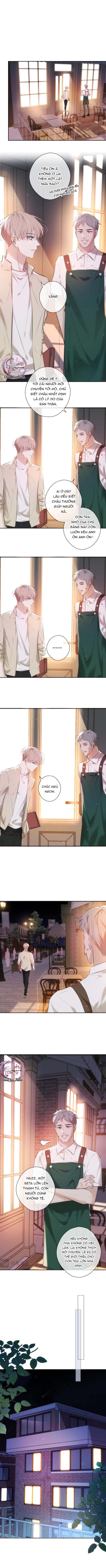 Cạn Tình - Chapter 1