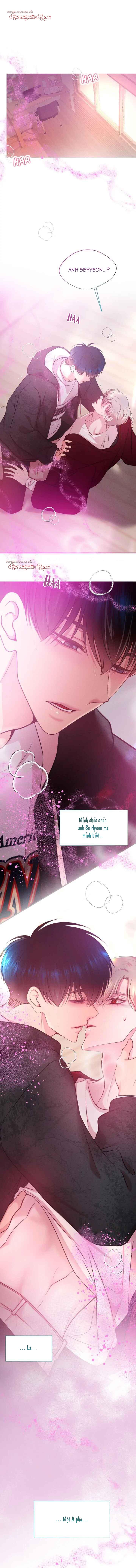 Bạn Đời Định Mệnh - Chapter 1