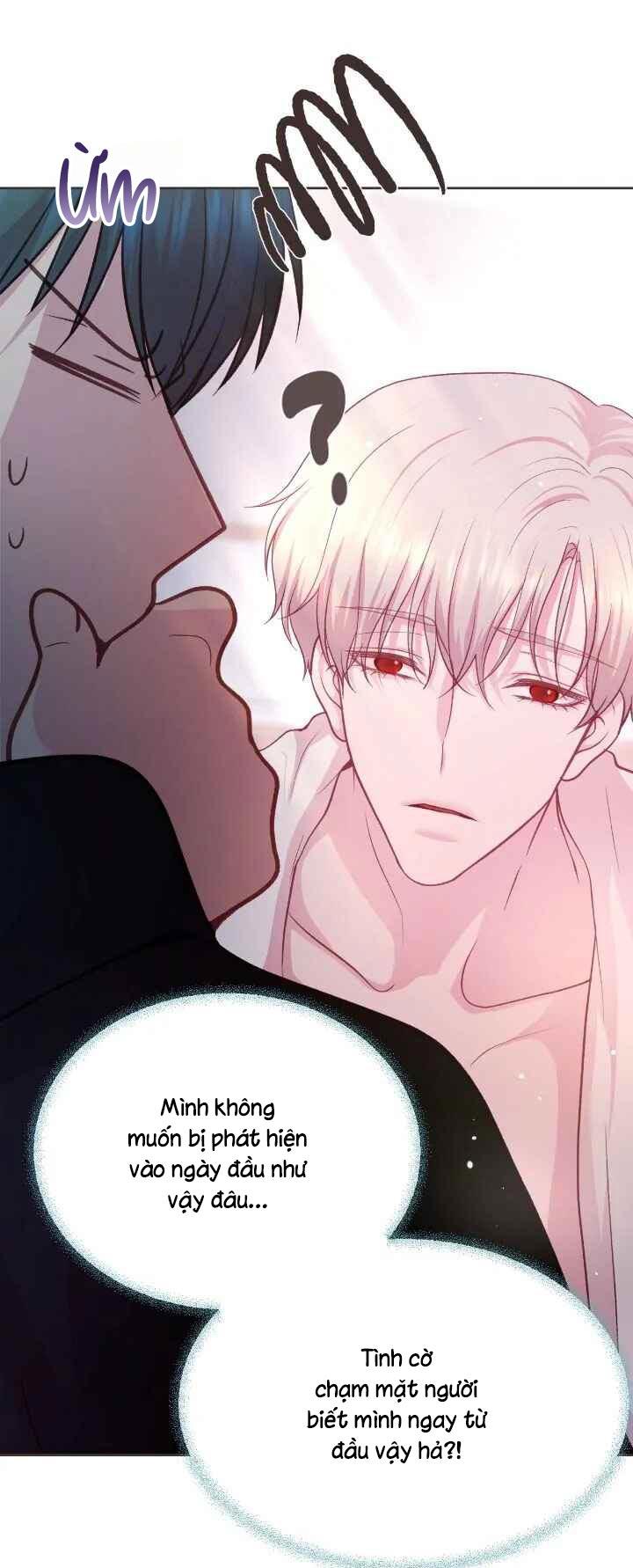 Bạn Đời Định Mệnh - Chapter 2