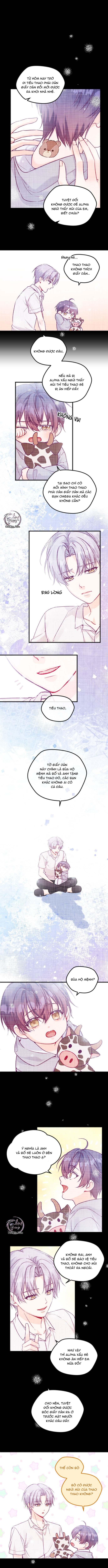 Người Tình Thế Thân Của Alpha - Chapter 2