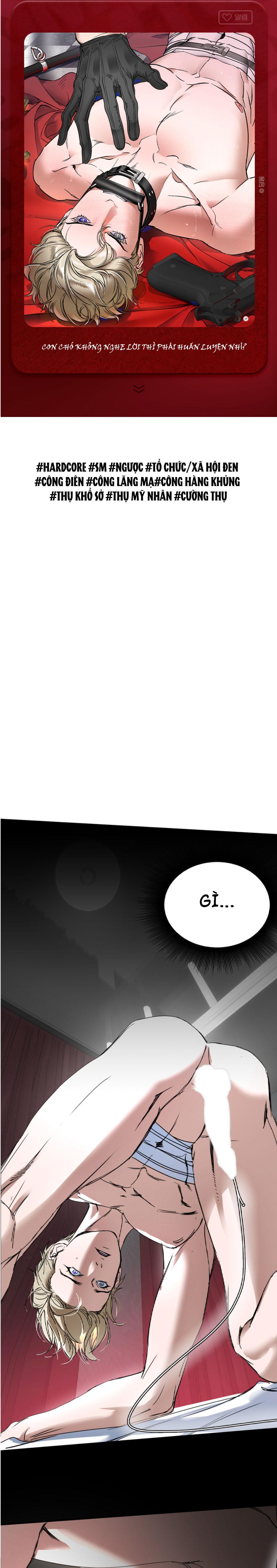 SỰ TRÓI BUỘC CỦA YAN - Chapter 0
