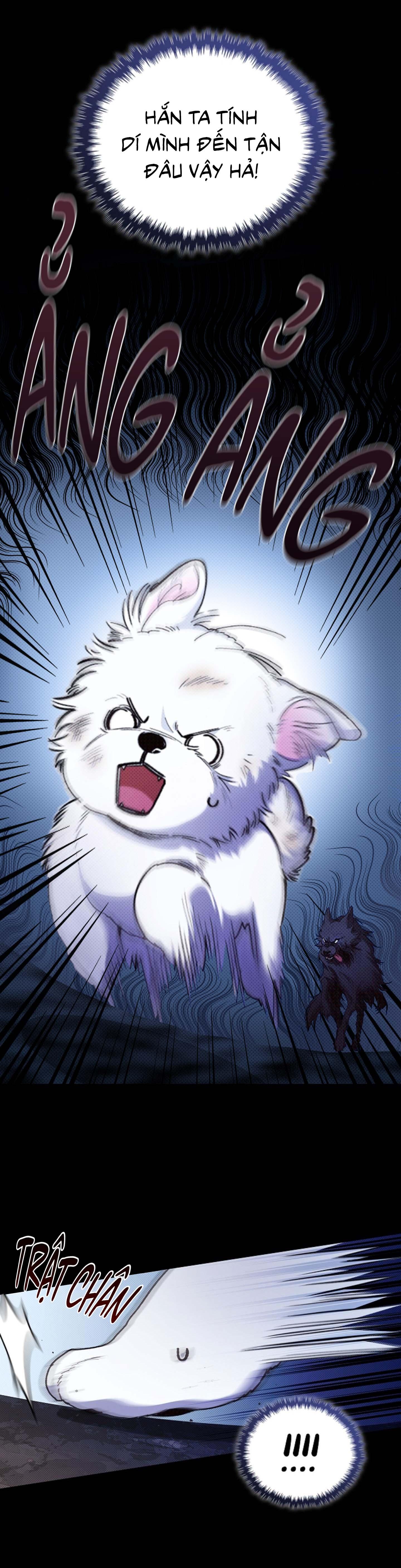 ĐỪNG ĐỘNG VÀO CÚN CON! - Chapter 1