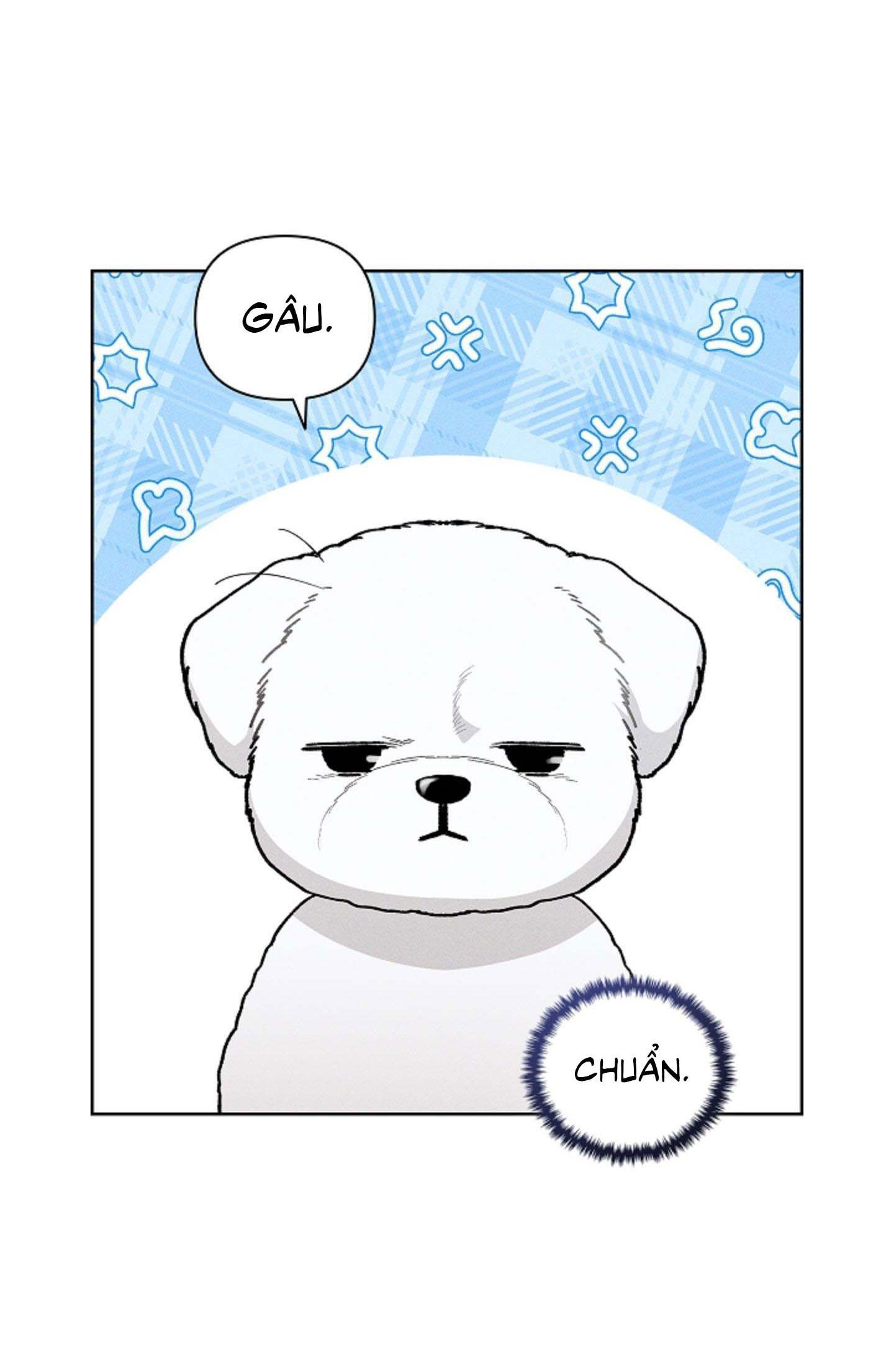 ĐỪNG ĐỘNG VÀO CÚN CON! - Chapter 2