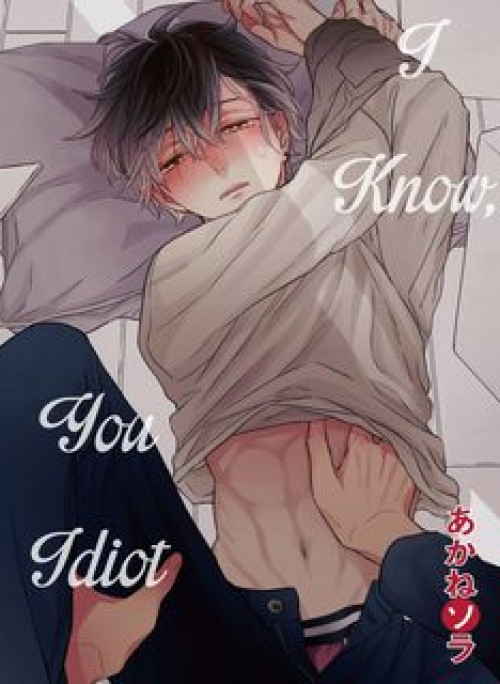 ANH HIỂU MÀ, ĐỒ NGỐC